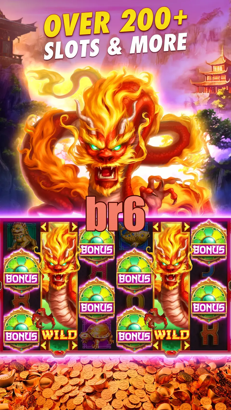 br6 Login